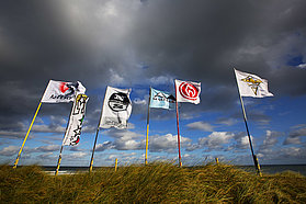 Industry flags