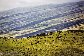 The slopes of Haleakala