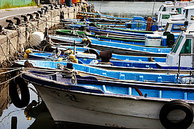 Jinha fishing boats