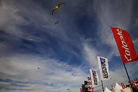 Seaguls fly over event flags